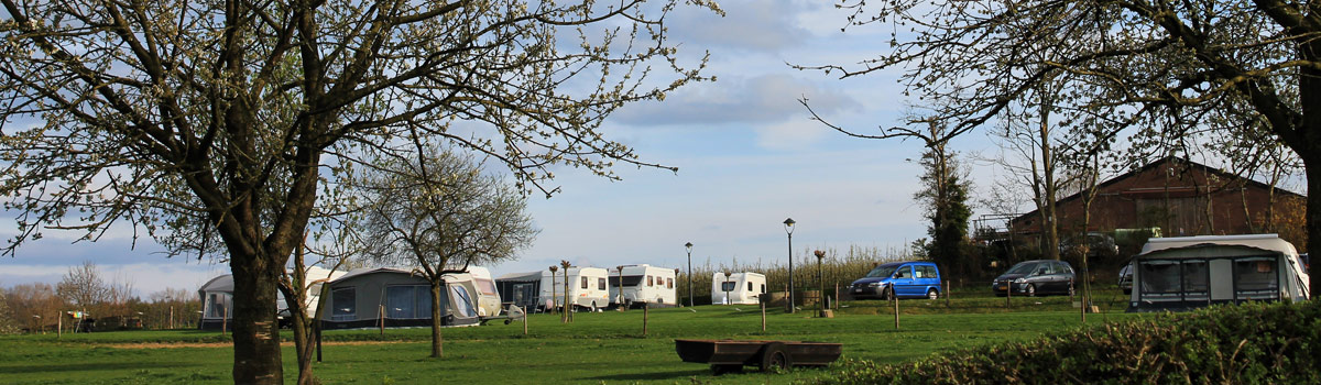 Panoramabeeld van de camping bij Hof van Libeek