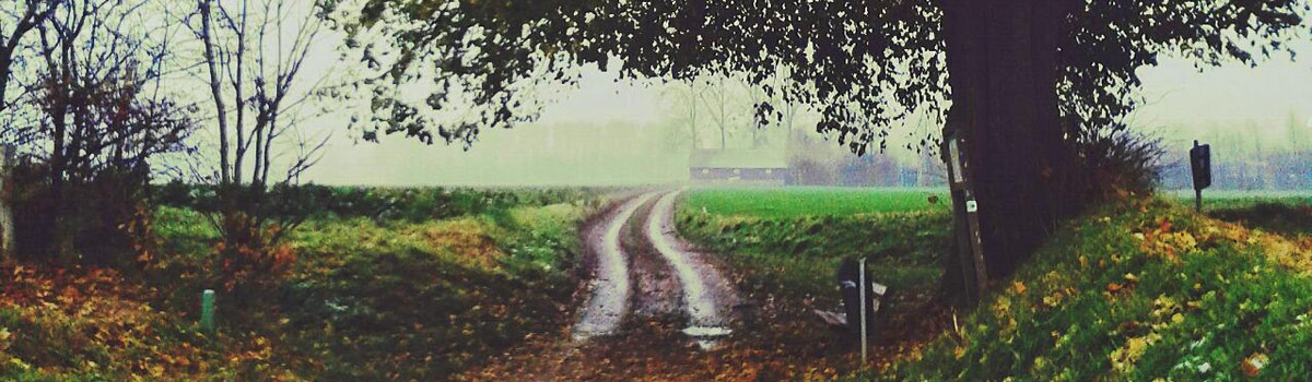 Headerfoto met kronkelende landweg door Zuid Limburgs heuvellandschap op regenachtige dag