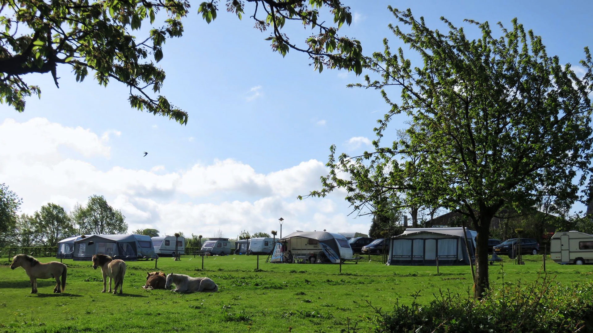 Hof van Libeek camping met heuvel panorama