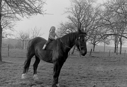 Nog een foto met een klein meisje op een groot paard