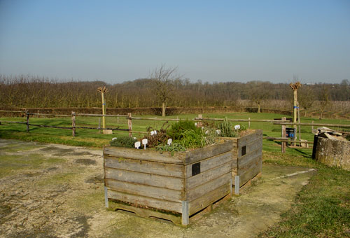 Een grote bak met verschllende soorten kruiden